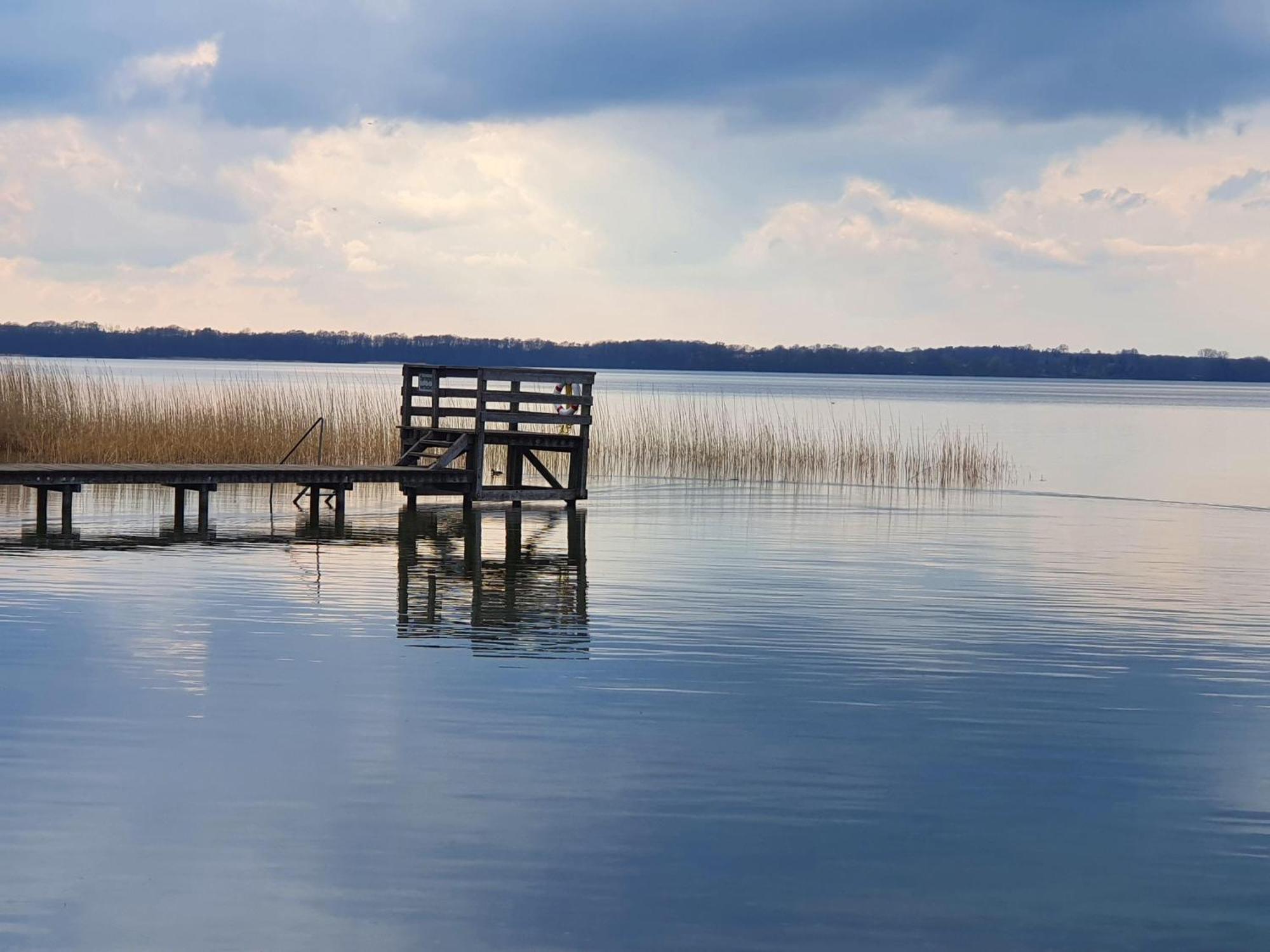 Idyllisches-Blockbohlenhaus-Mit-Eigenem-Garten-Und-Sauna-Zum-Wohlfuehlen Martensrade 외부 사진